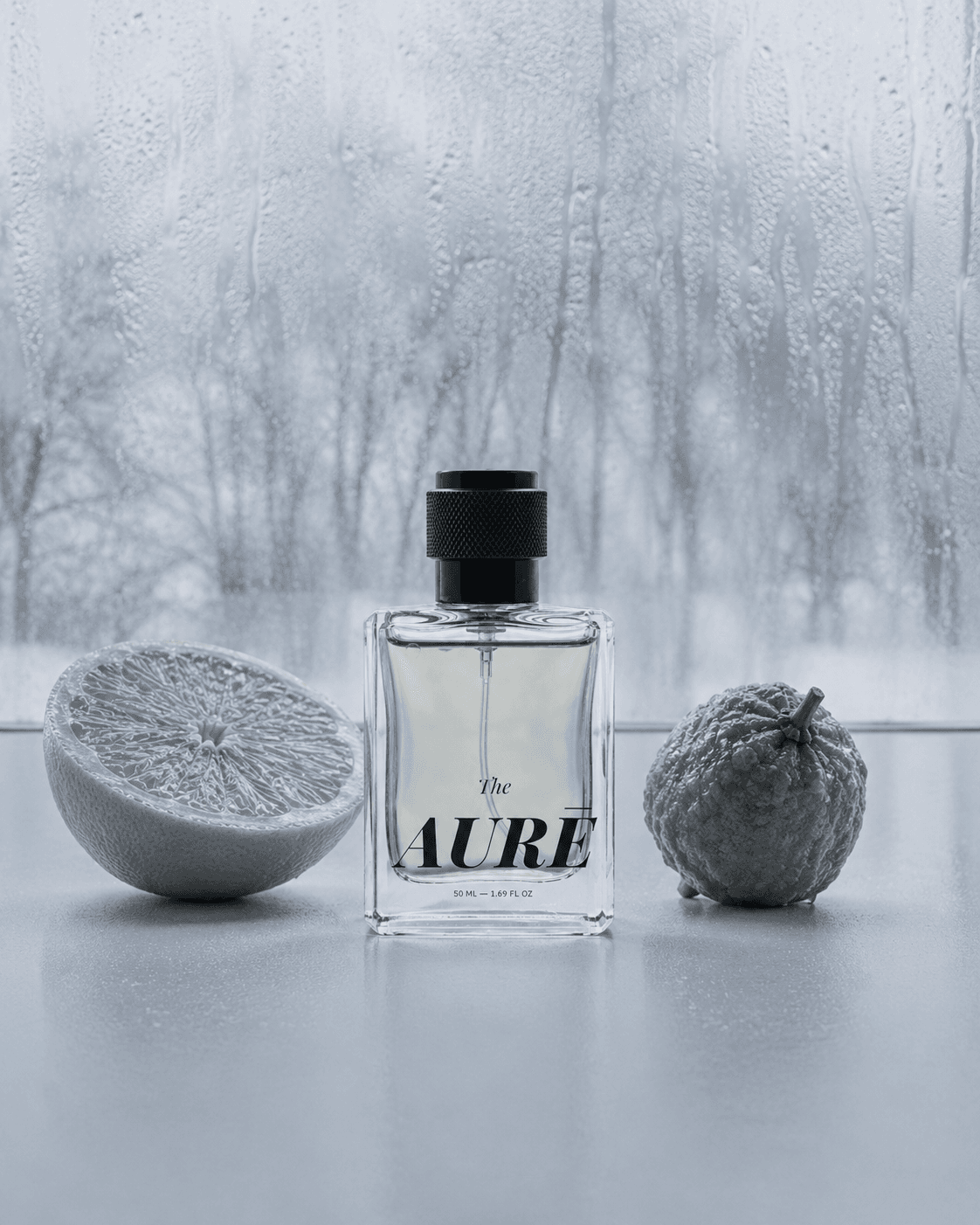 Lucid — view 5