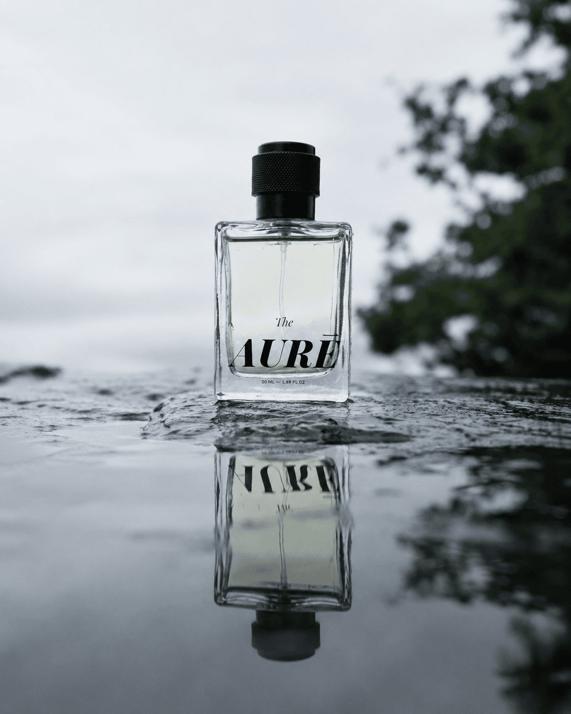 Lucid — view 8