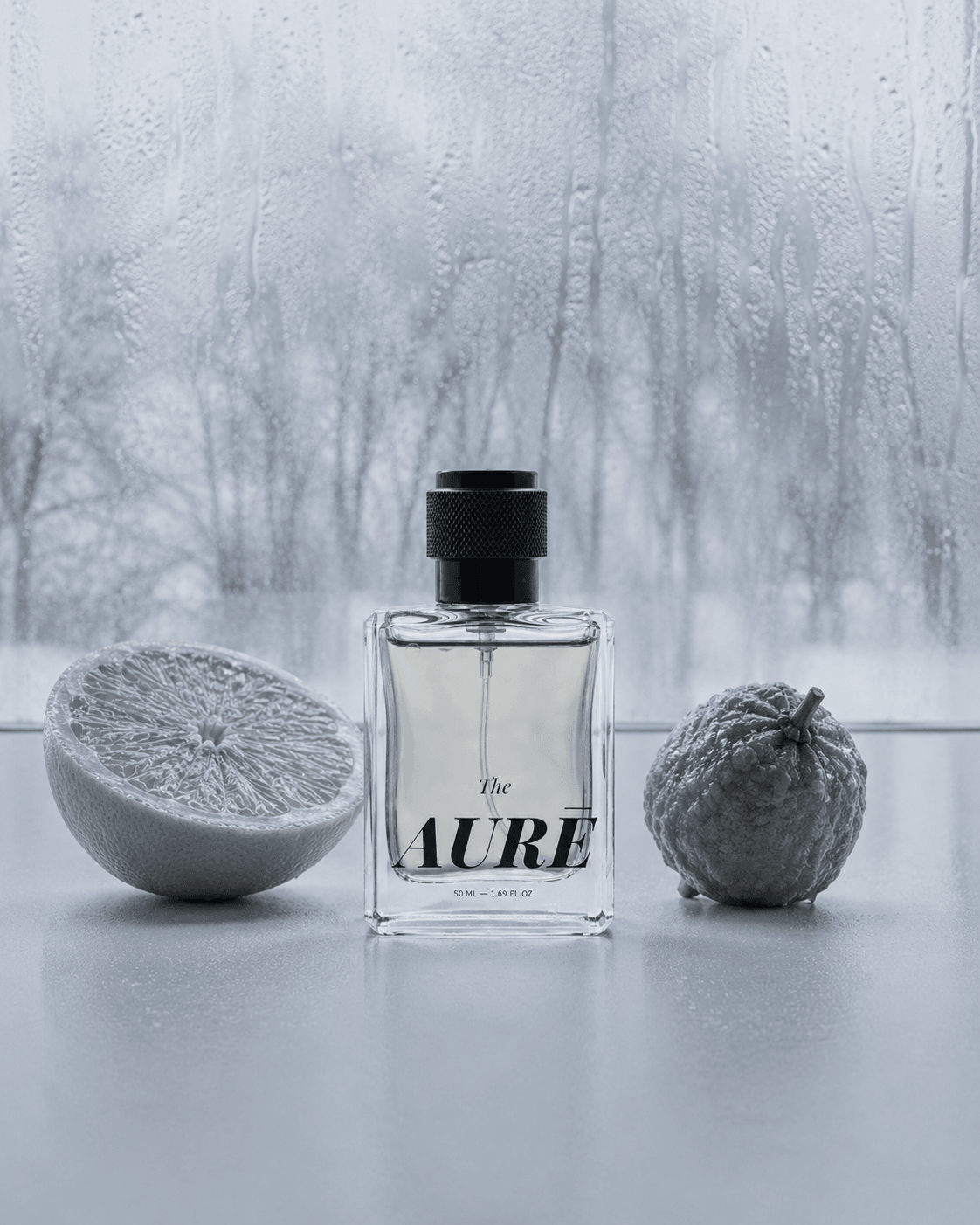 Lucid — view 5