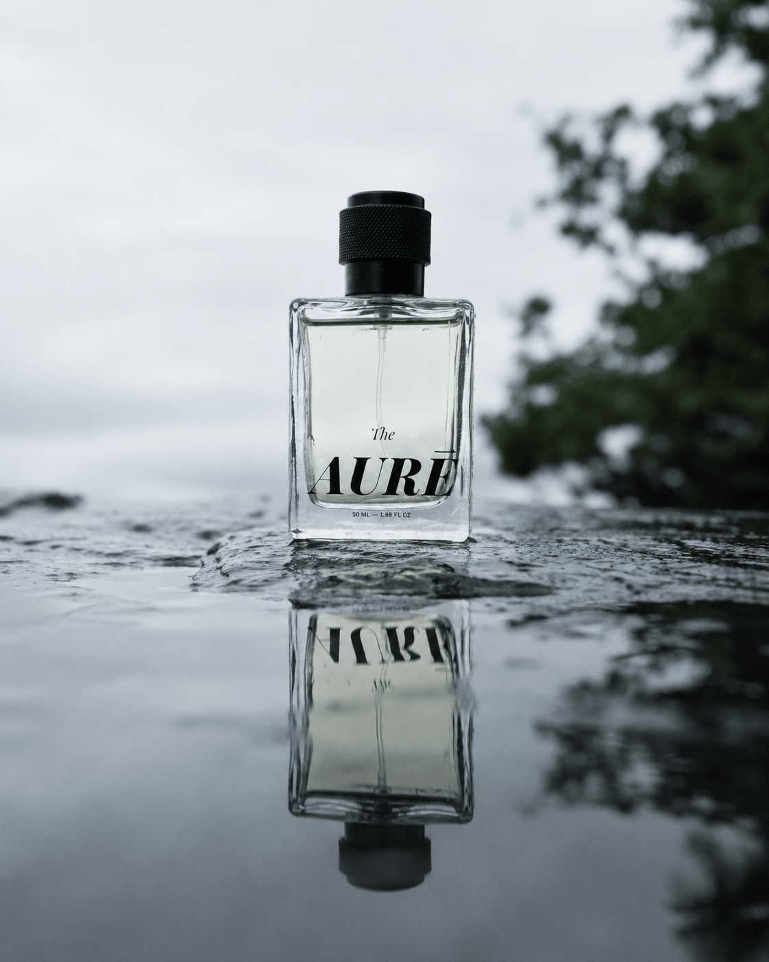 Lucid — view 8